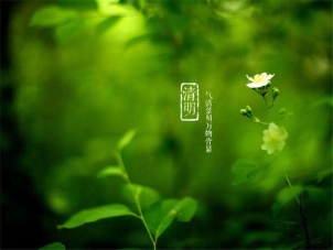 QQ图片20220403132403