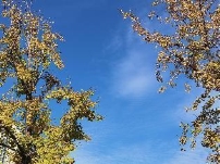IMG_20221028_084125