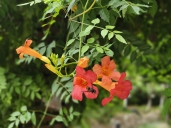 IMG_20230827_100344