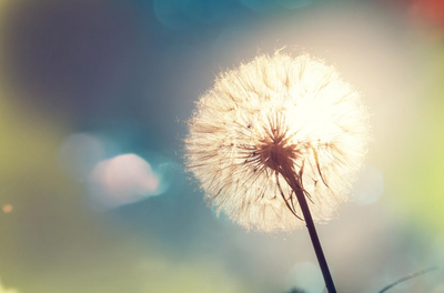 t01709c2df4406f6e86.png